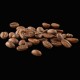 BIO Robusta Uganda Nyers Kávé, 500g – Caffè Gioia