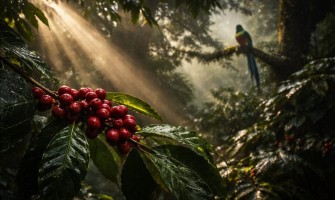 Hagyományok, mezőgazdaság és természet