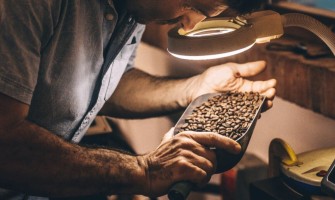 A minőség értéke A kávétermelők útja felfelé