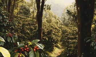 Hagyományok, mezőgazdaság és természet