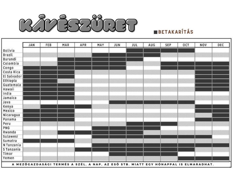 Kézi szelektív kávébetakarítás a prémium olasz eszpresszó alapanyaga